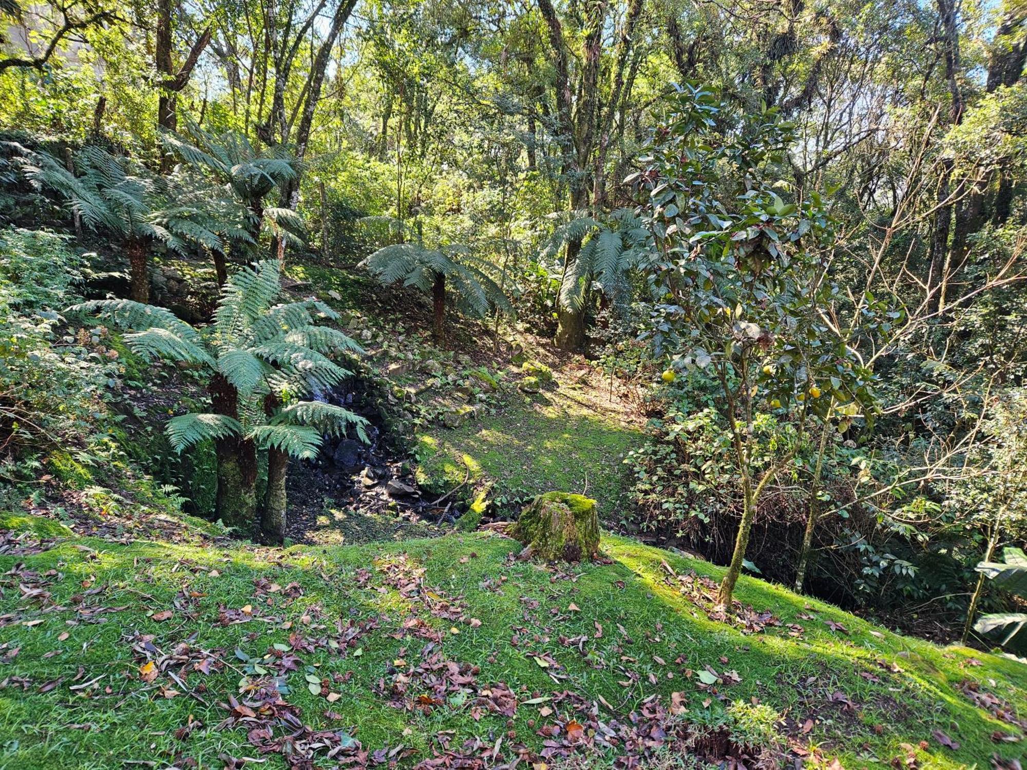 Cantinho Das Oliveiras. Gramado Exterior foto